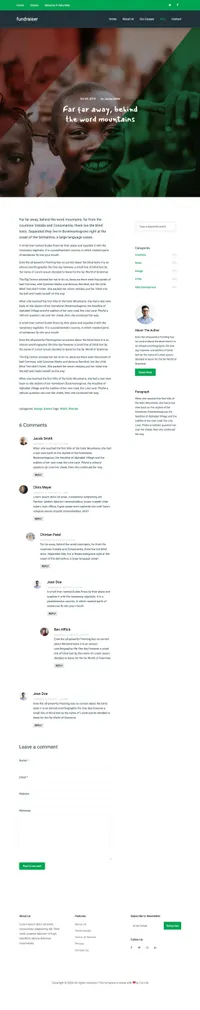 fundraiser mini website template desktop screenshot