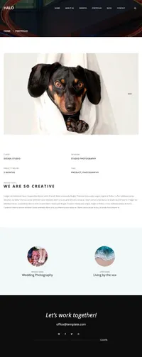 halo mini website template desktop screenshot