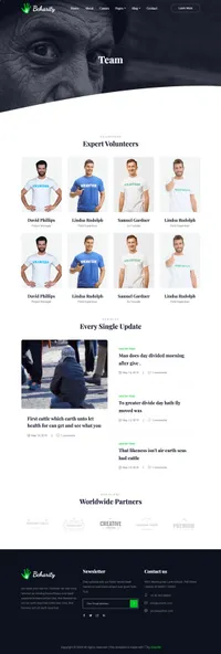 bcharity mini website template desktop screenshot