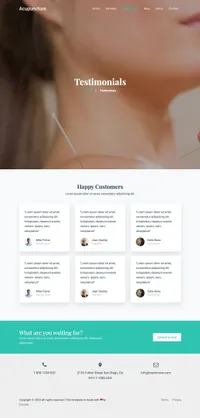 acupuncture mini website template desktop screenshot